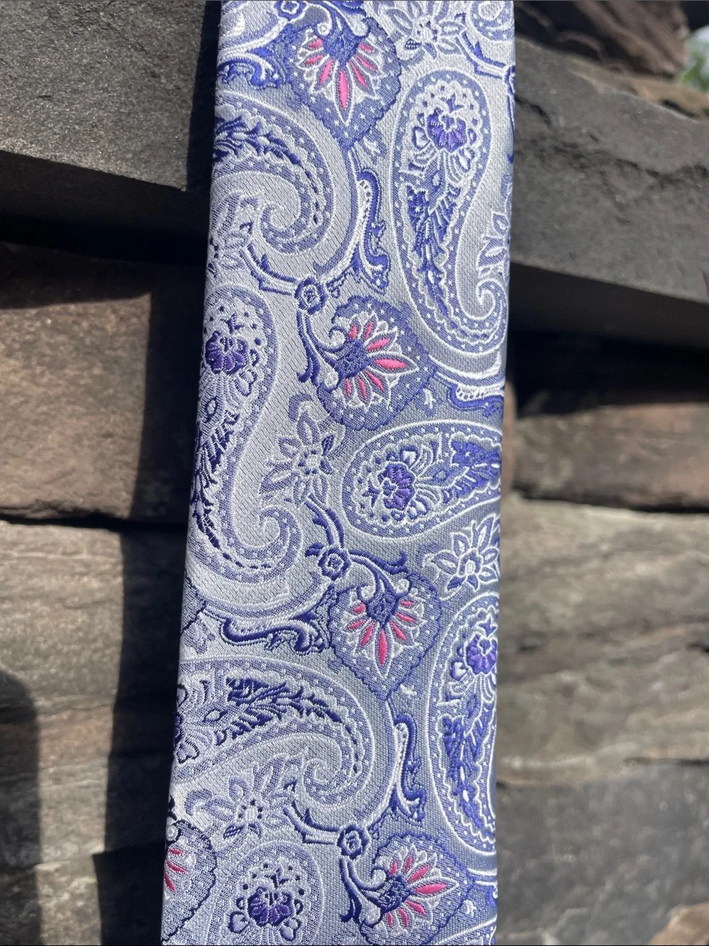 Men's  Paisley Tie with Silver Accents